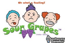 An image of Sour Grapes