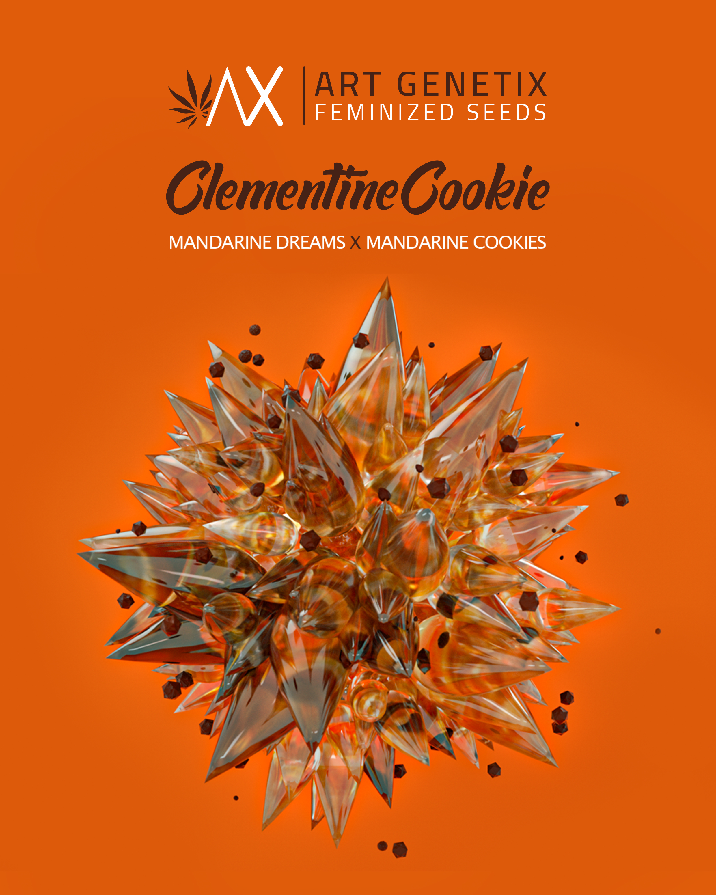 An image of Clementine Cookies