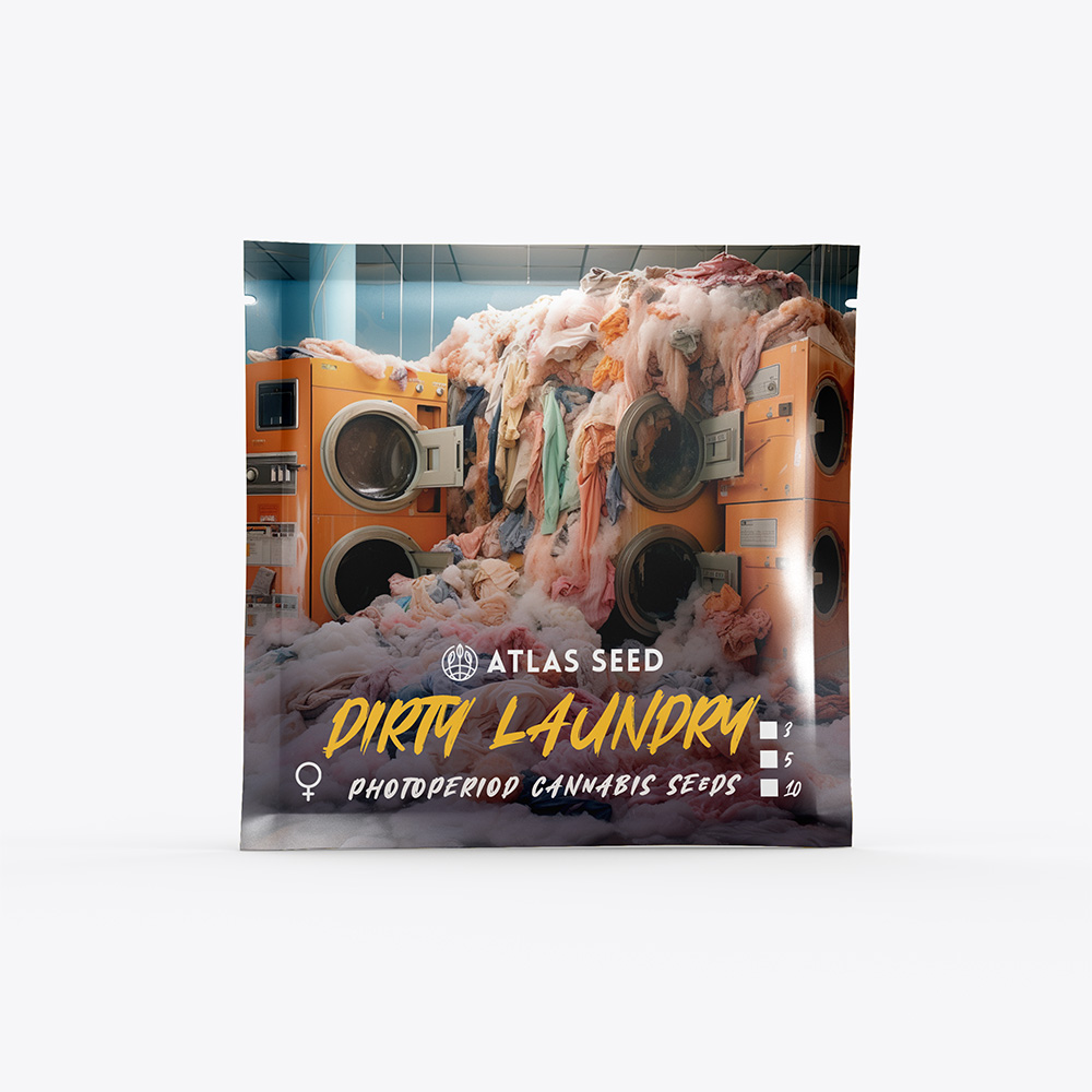 An image of Dirty Laundry
