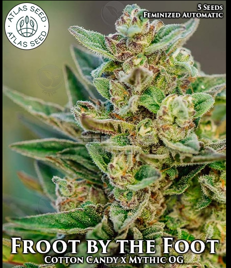 An image of Froot by the Foot