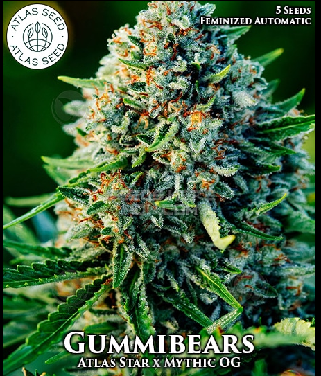 An image of Gummibears