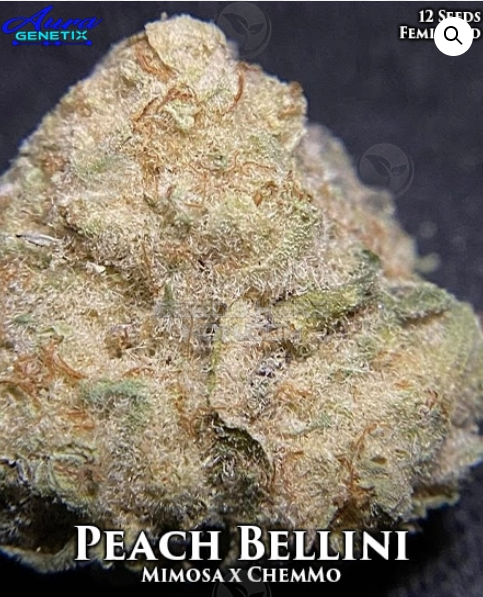 An image of Peach Bellini