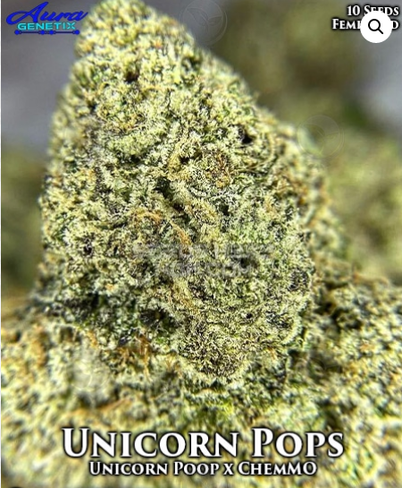 An image of Unicorn Pops