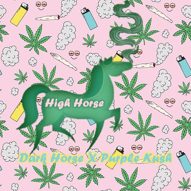 An image of High Horse