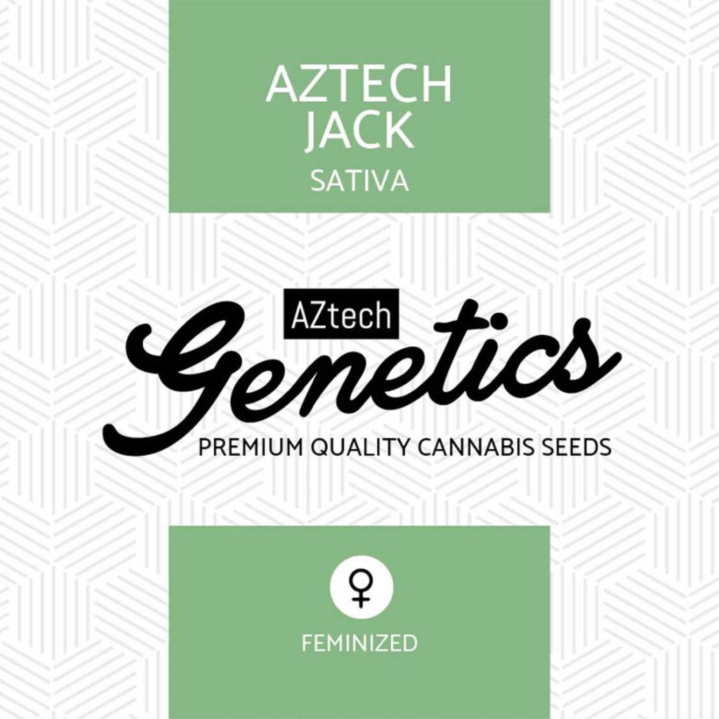 An image of AZtech Jack