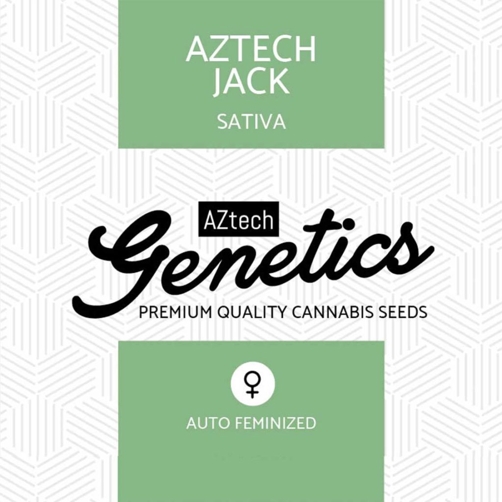 An image of AZtech Jack Auto