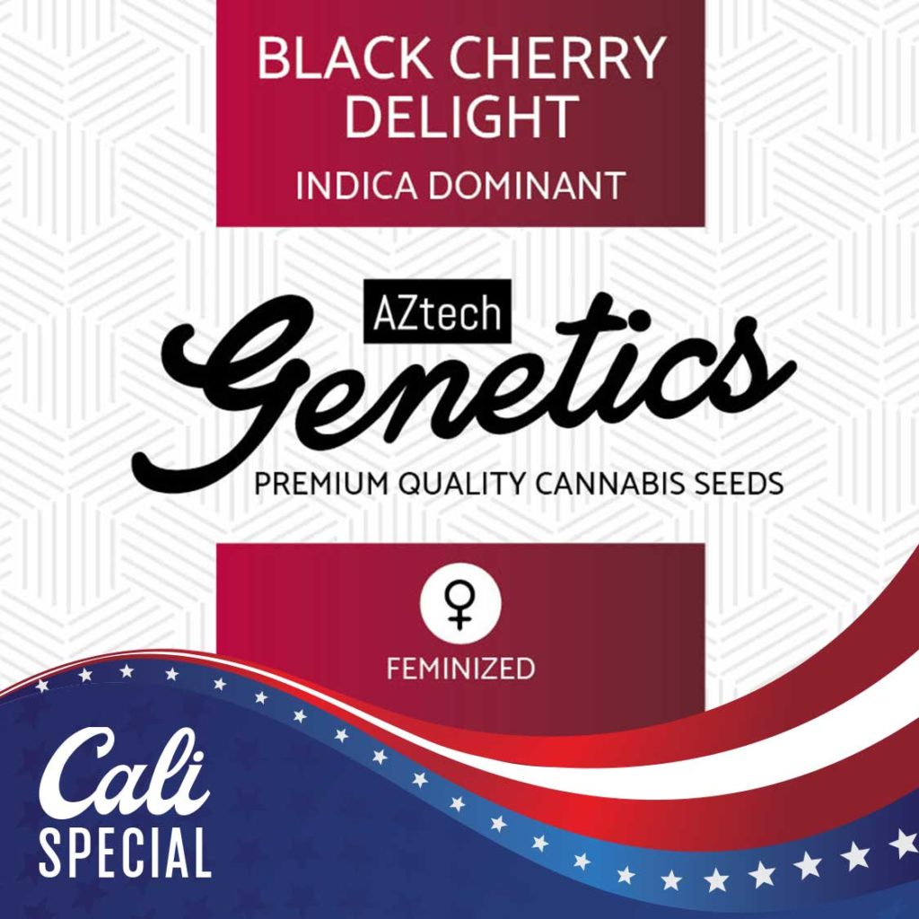 An image of Black Cherry Delight