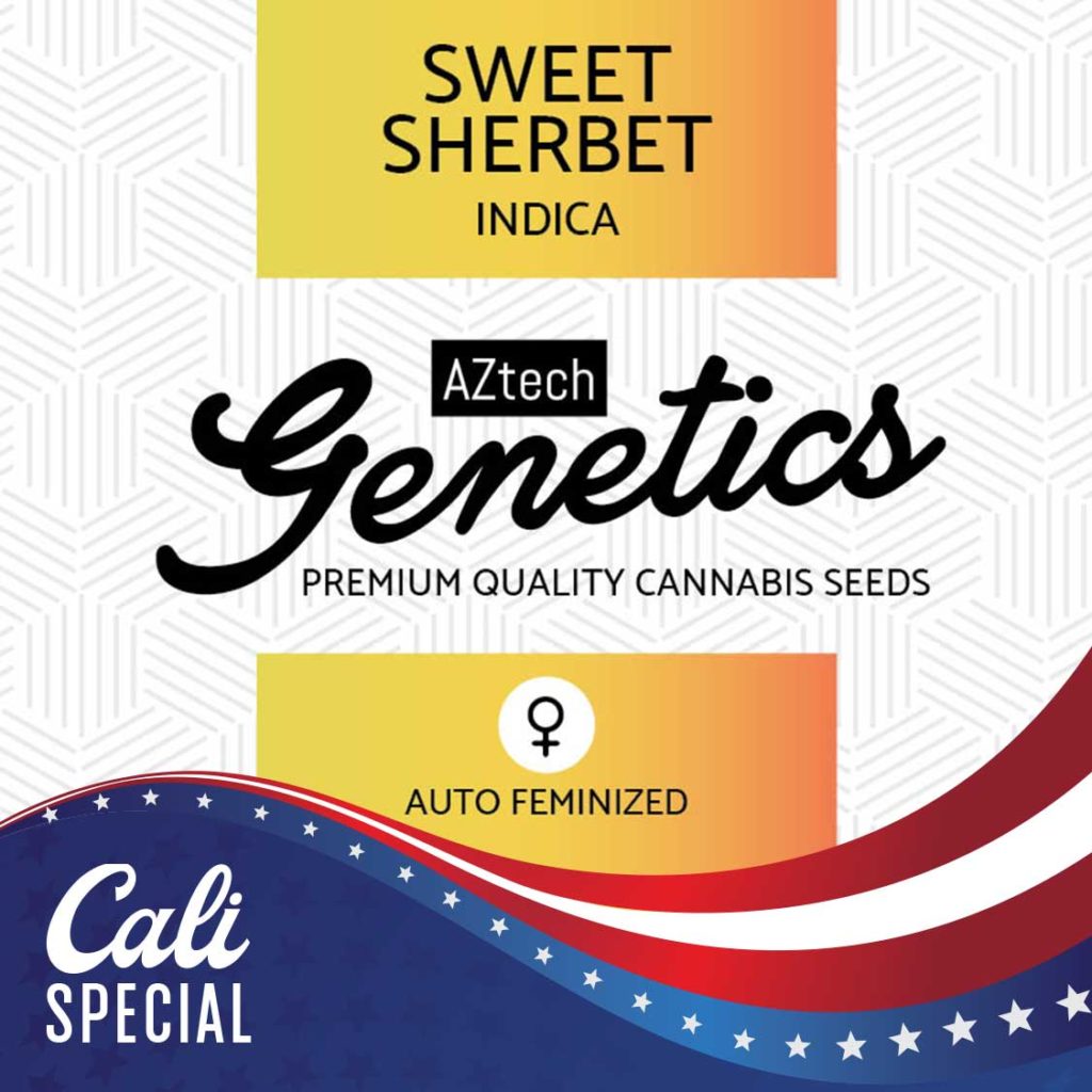 An image of Sweet Sherbet Auto