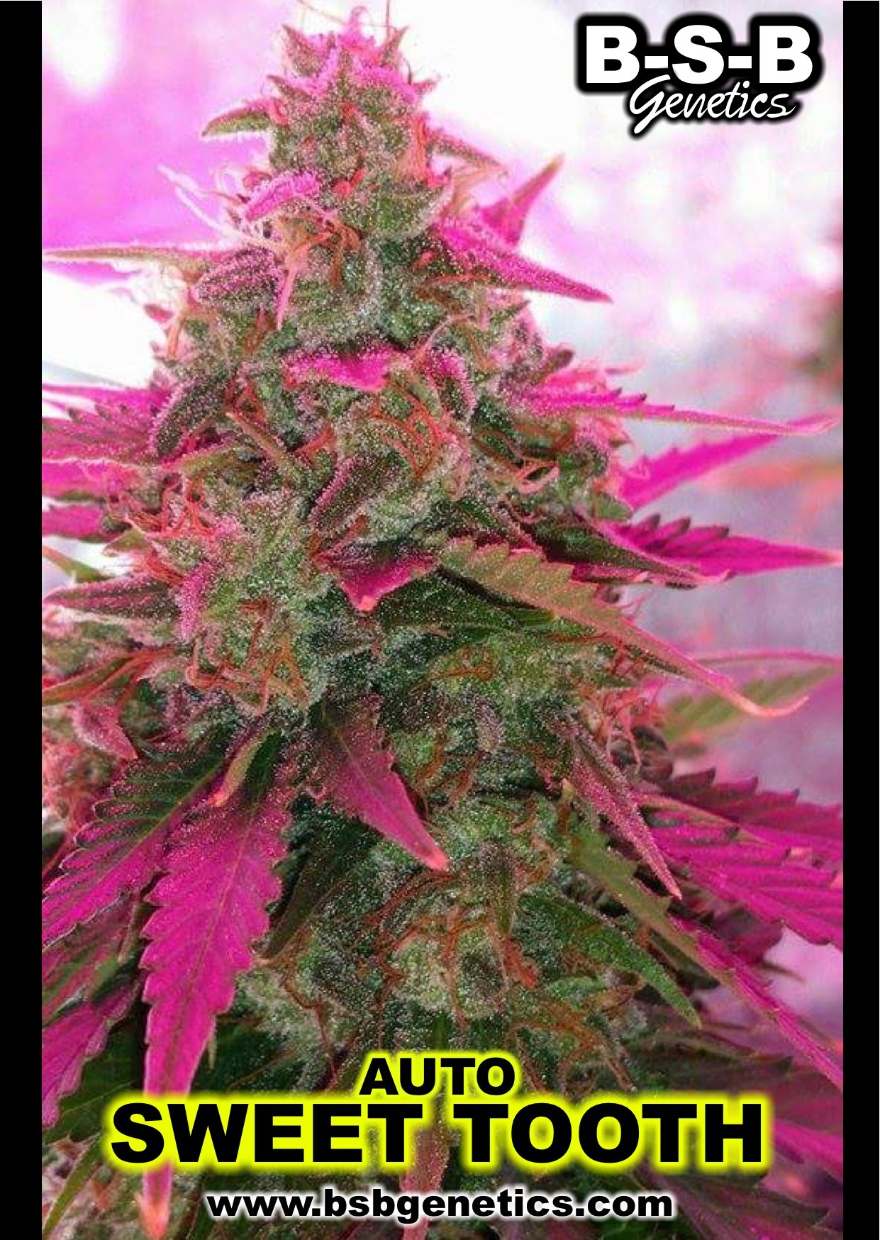 An image of Auto Sweet Tooth