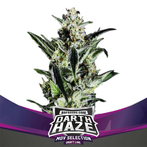 An image of Darth Haze