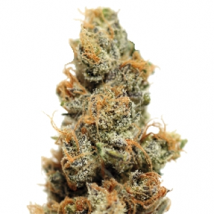 An image of Pineapple Chunk