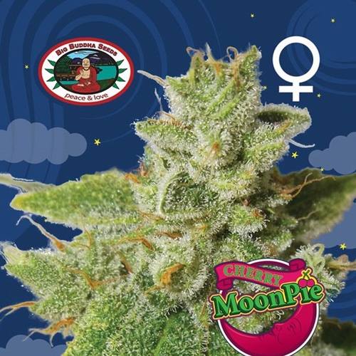 An image of Cherry Moon Pie