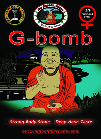 An image of G-Bomb