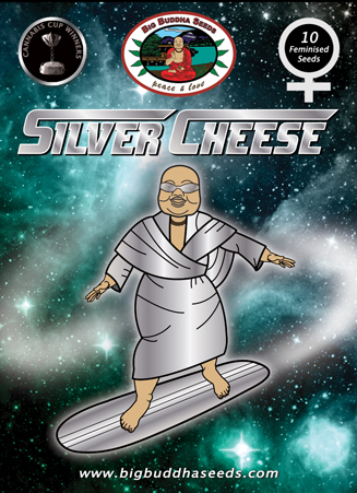 An image of Silver Cheese