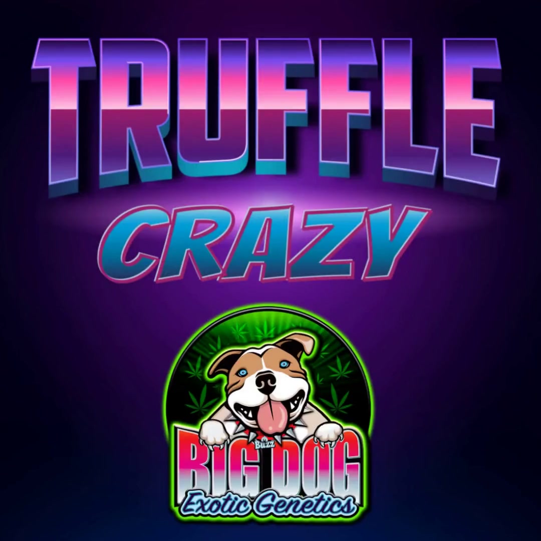 An image of Platinum Truffle Breath