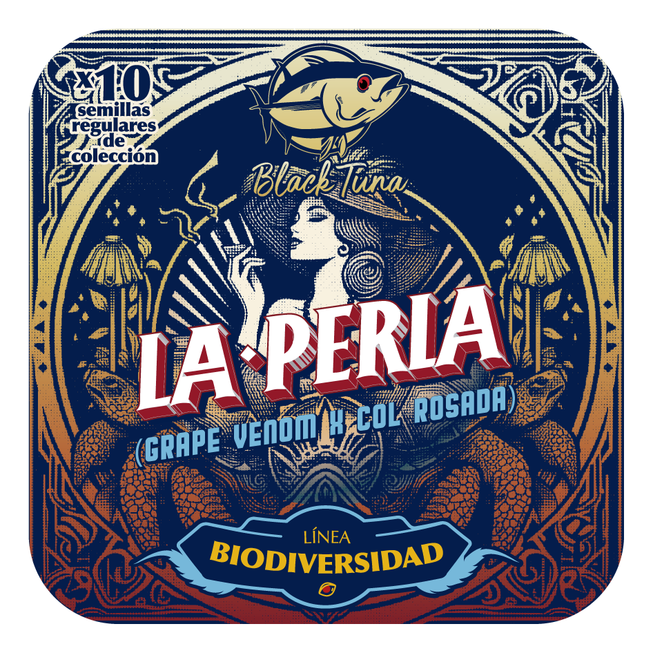An image of La Perla