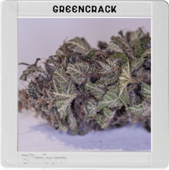 An image of Green Crack
