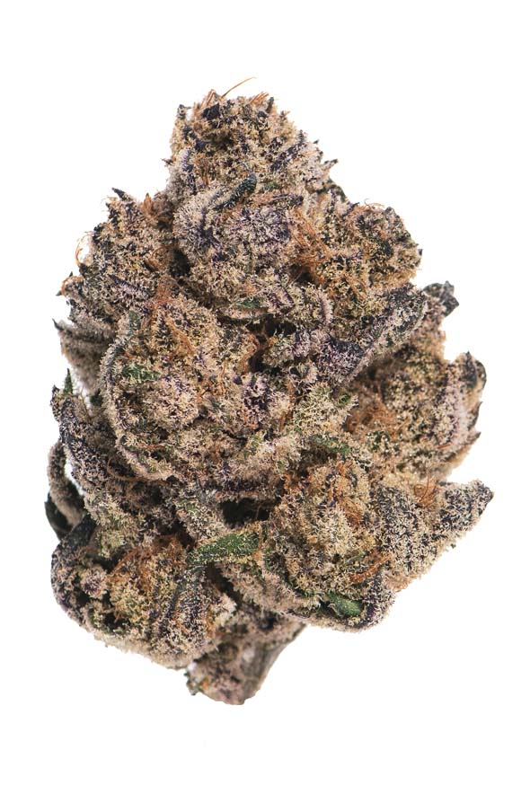 An image of Grape MTN