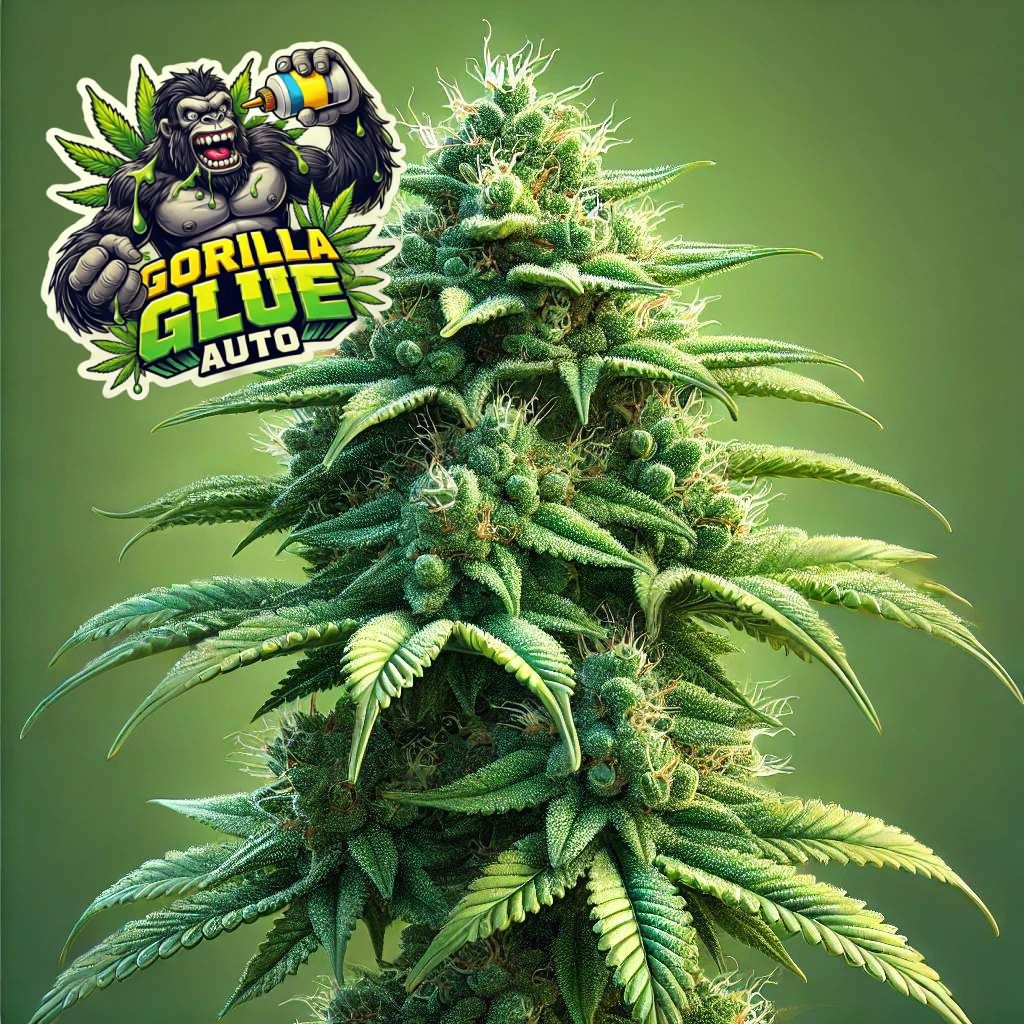 An image of Gorilla Glue Auto