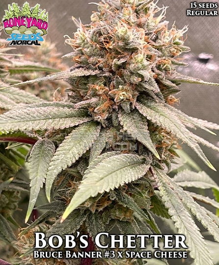 An image of Bob’s Chetter