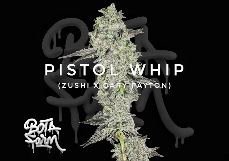 An image of Pistol Whip
