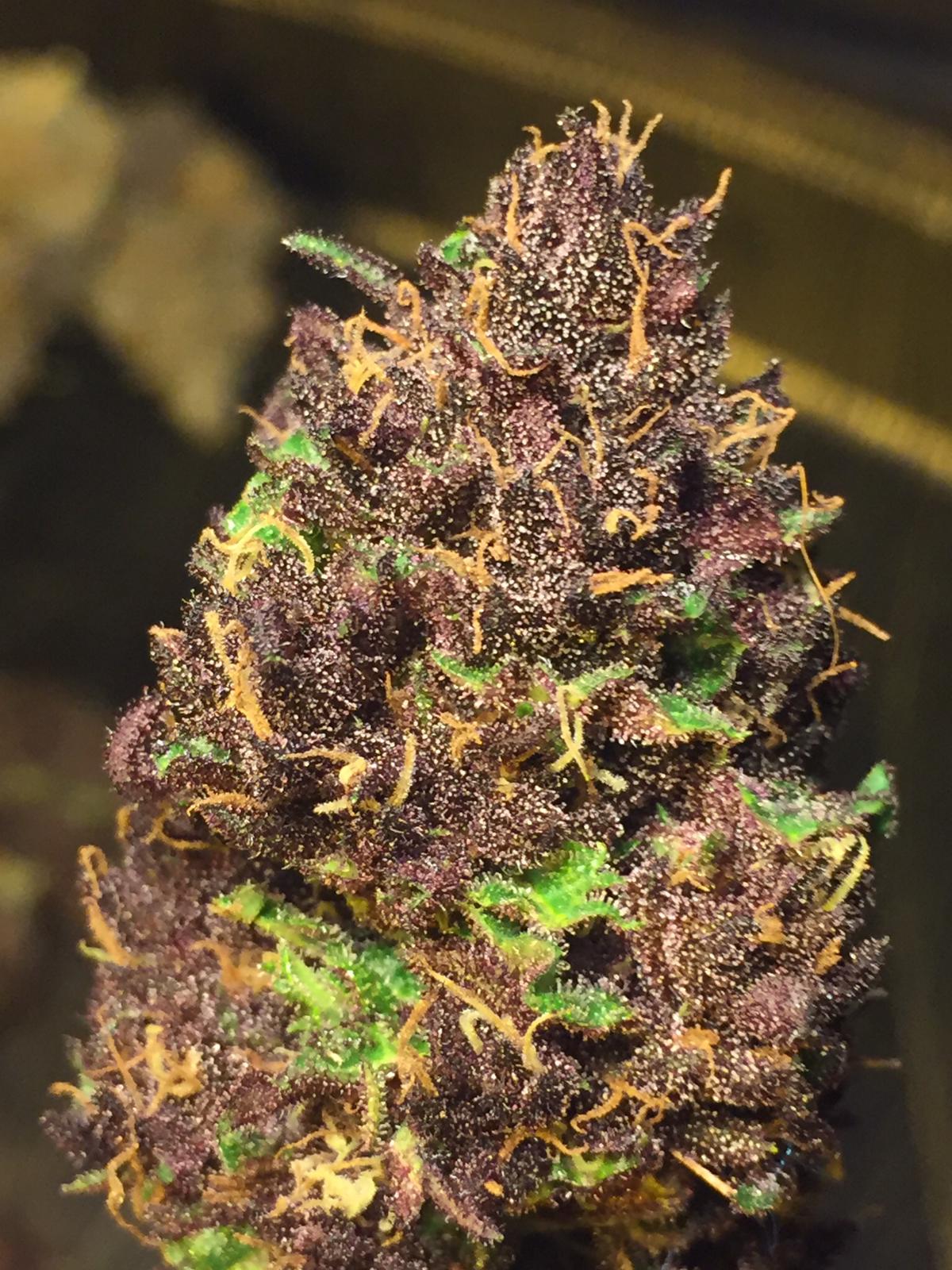 An image of Atomic Candy