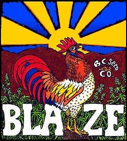 An image of Blaze