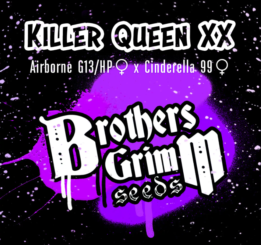 An image of Killer Queen XX