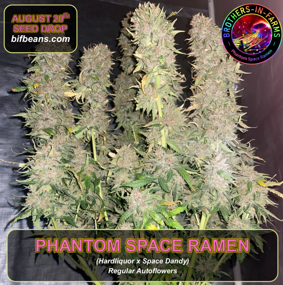 An image of Phantom Space Ramen