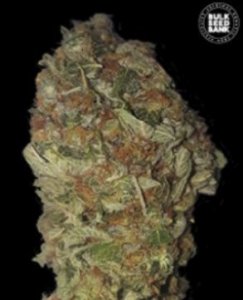 An image of Green Candy