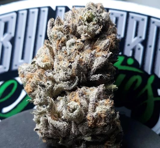 An image of Clover Shake