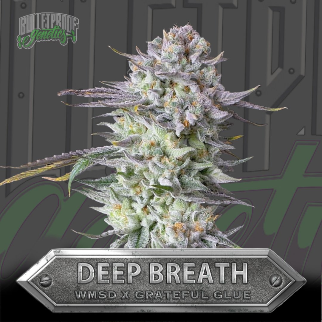 An image of Deep Breath