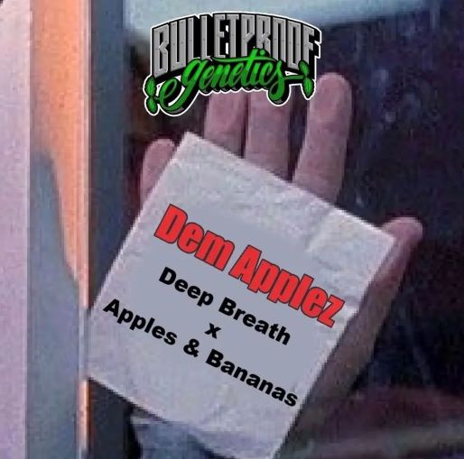 An image of Dem Applez