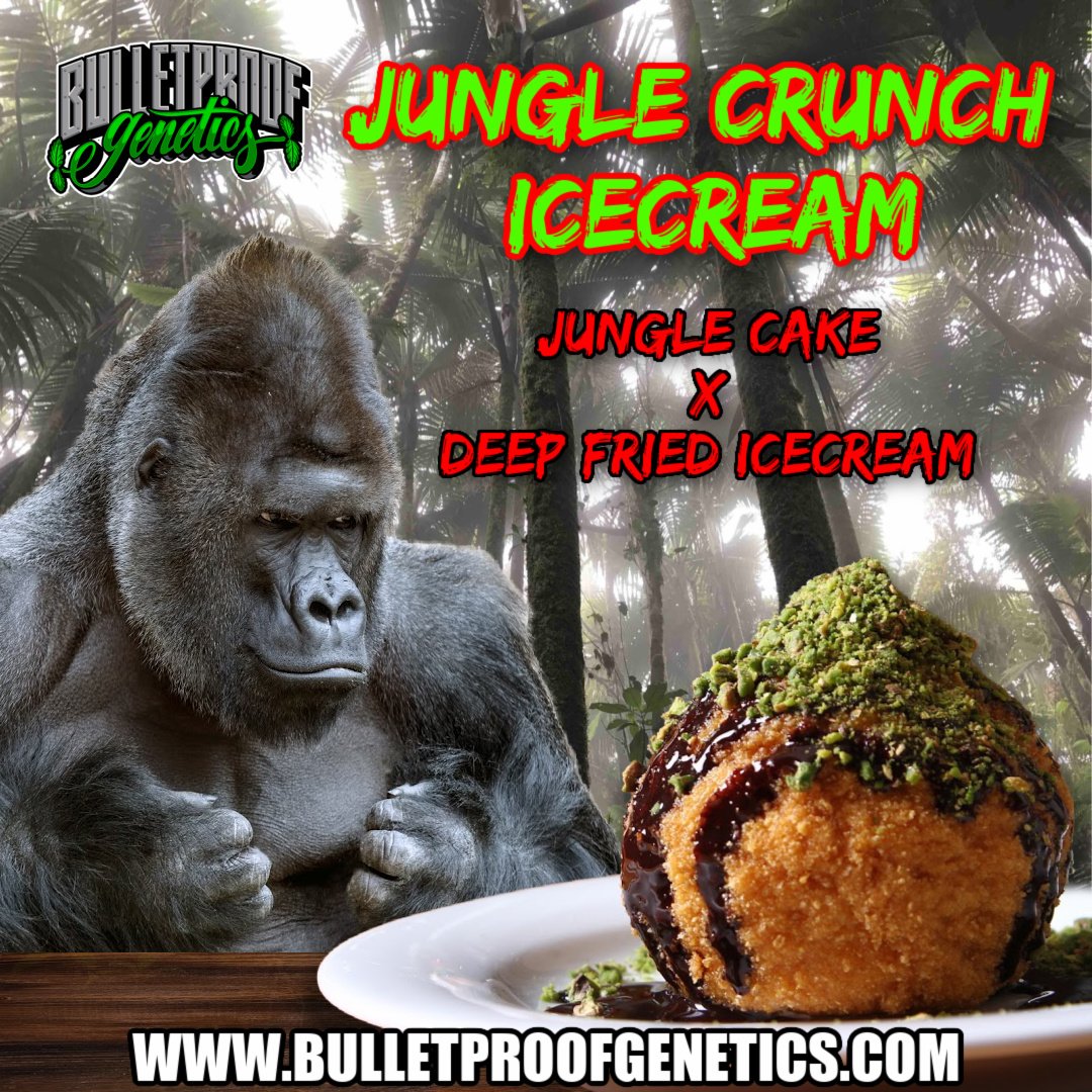 An image of Jungle Crunch Icecream