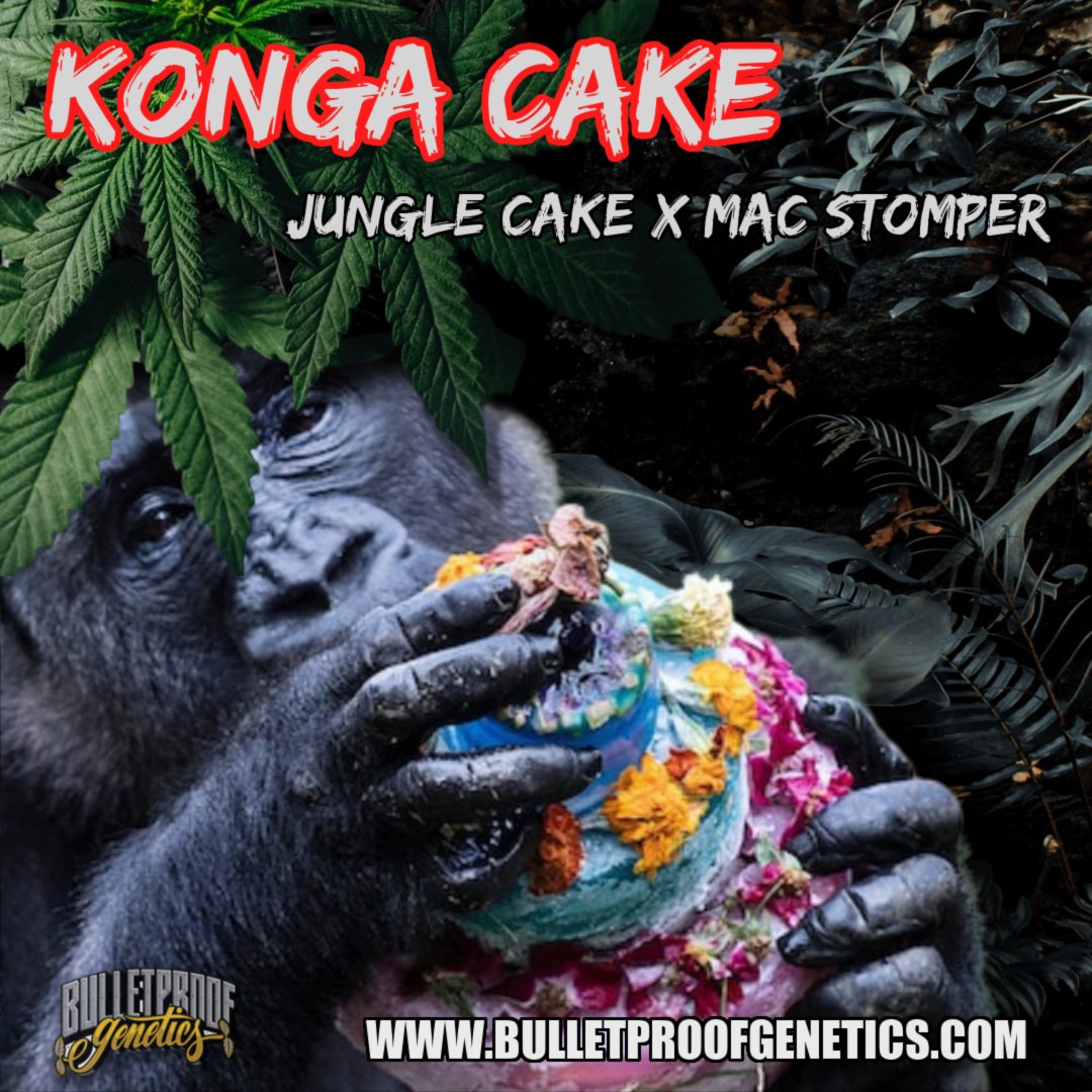 An image of Konga Cake
