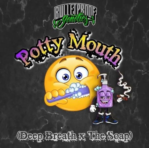 An image of Potty Mouth