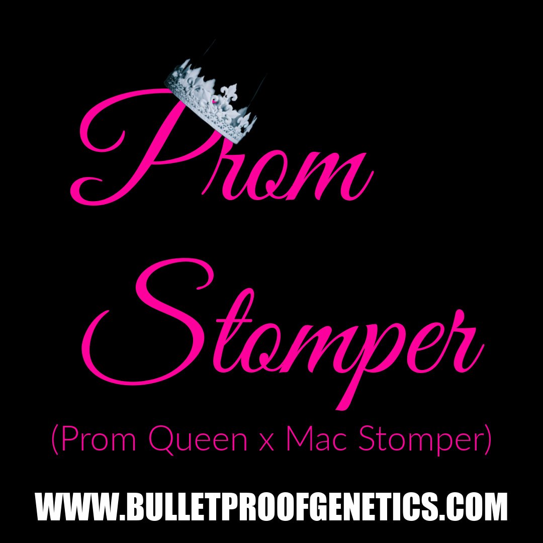 An image of Prom Stomper