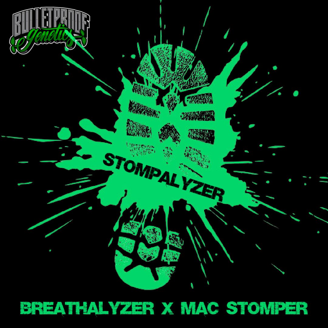 An image of Stompalyzer