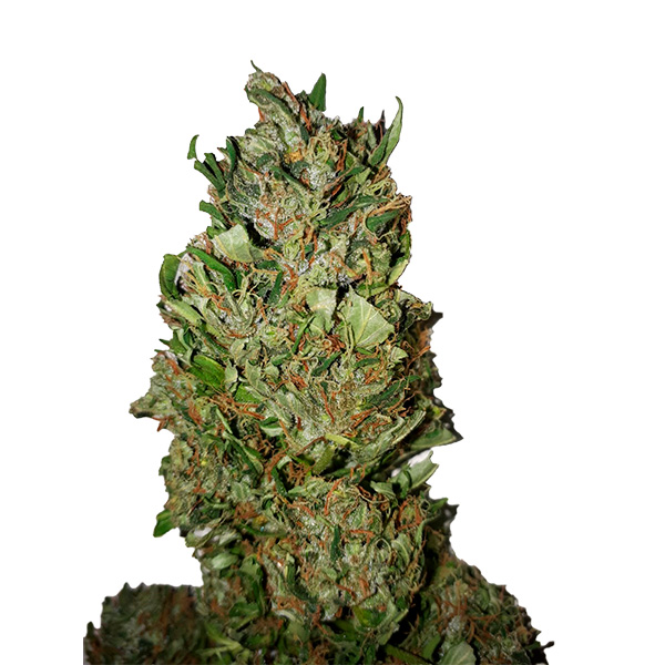 An image of Cannatonic CBD +