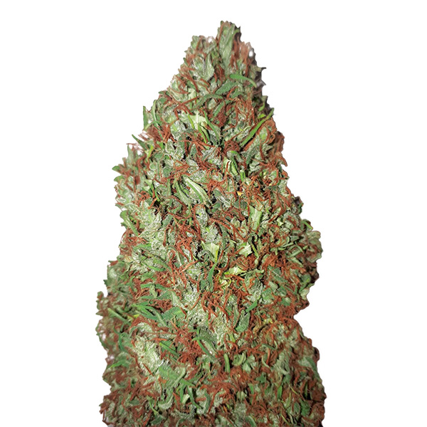 An image of Sour Diesel CBD +