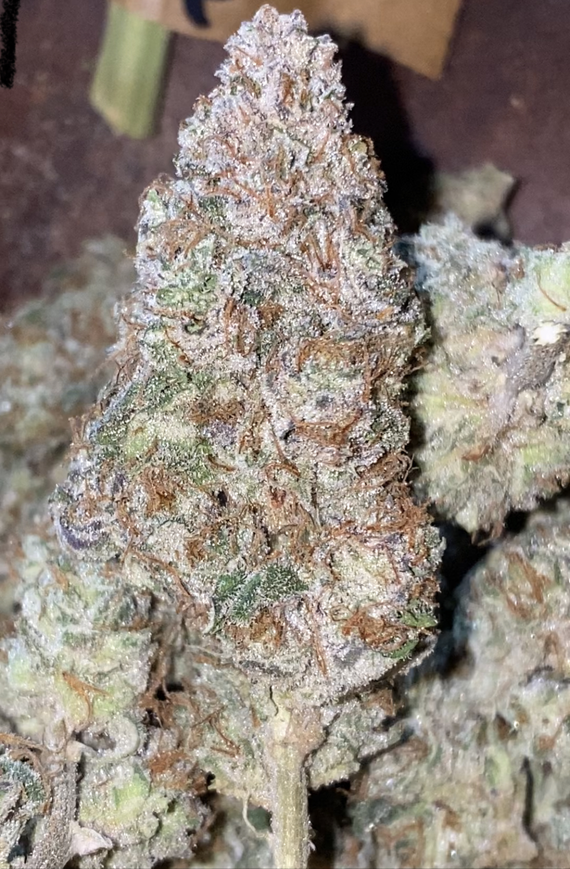 An image of Margys Muff