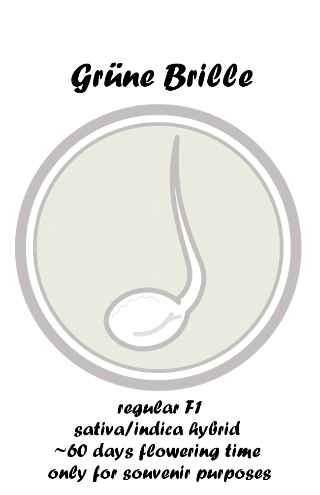 An image of Grüne Brille