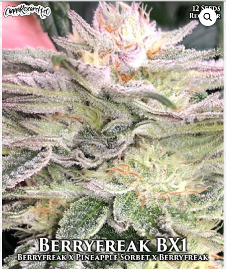 An image of Berryfreak BX1