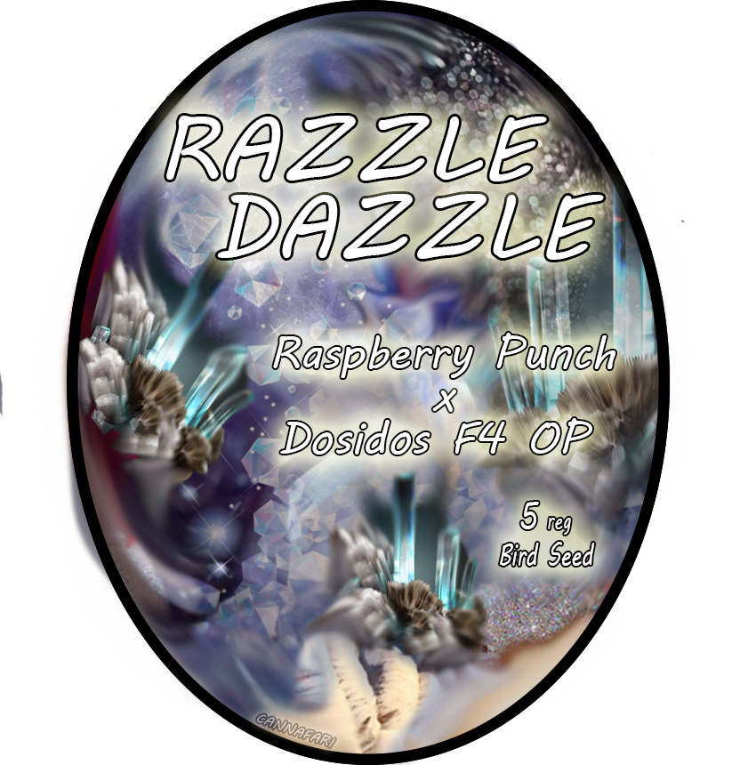 An image of Razzle Dazzle