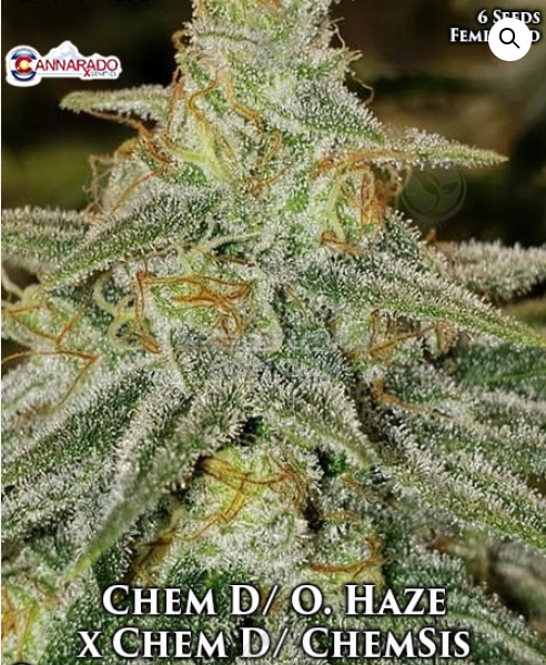An image of Chem D / O. Haze x Chem D / ChemSis