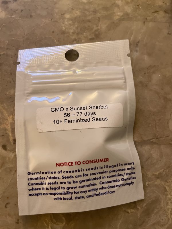 An image of MSG