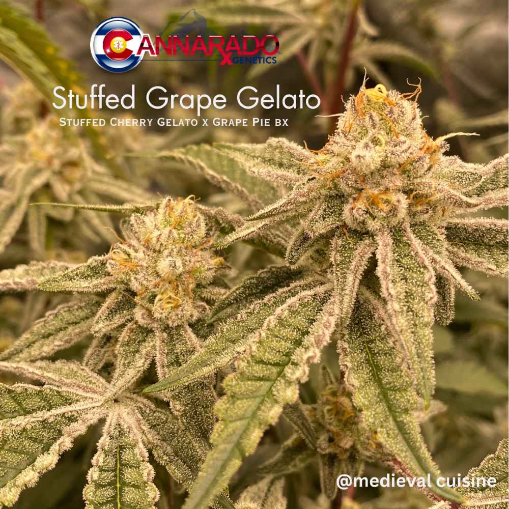 An image of Stuffed Grape Gelato