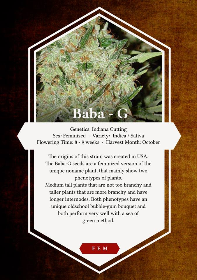 An image of Baba-G
