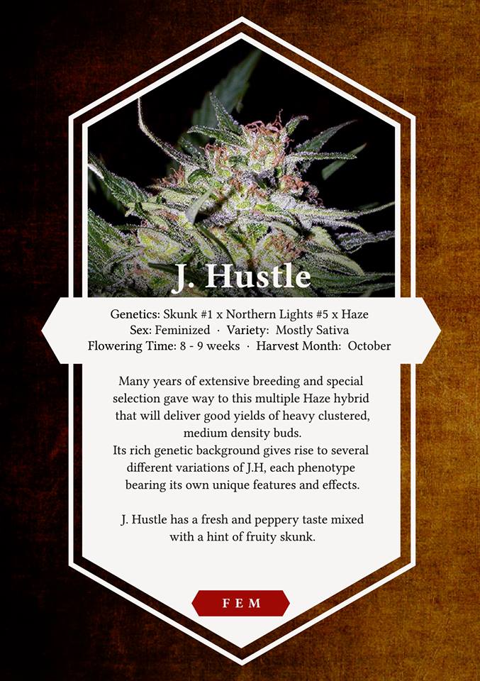 An image of J.Hustle