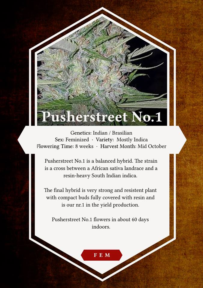 An image of Pusherstreet No.1